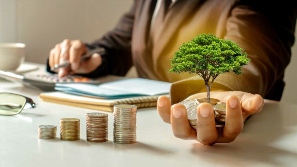 Scaling Up: 5 Ways ODEA Supports Business Expansion Through Sound Financial Management - Image 2